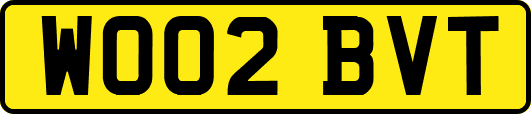WO02BVT