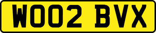WO02BVX
