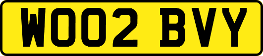 WO02BVY