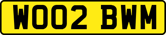 WO02BWM