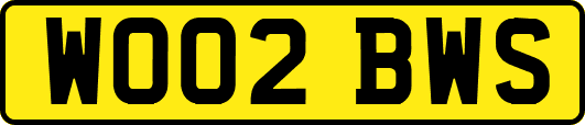 WO02BWS