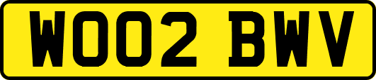 WO02BWV