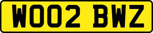 WO02BWZ