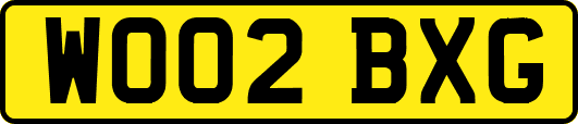 WO02BXG
