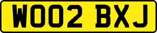 WO02BXJ
