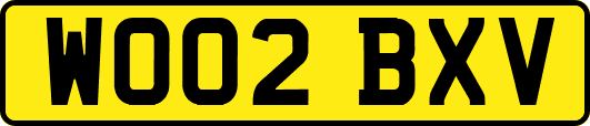 WO02BXV