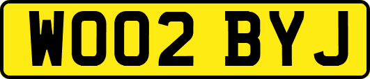 WO02BYJ