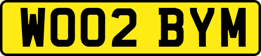 WO02BYM