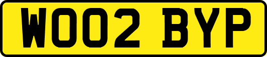 WO02BYP
