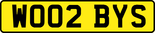 WO02BYS