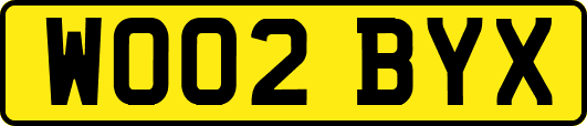WO02BYX