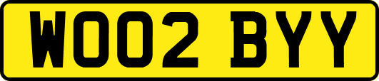 WO02BYY