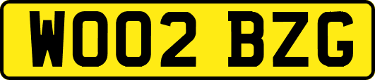 WO02BZG