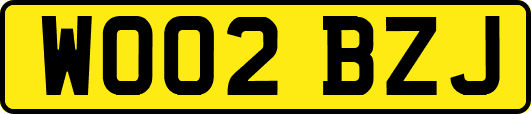 WO02BZJ