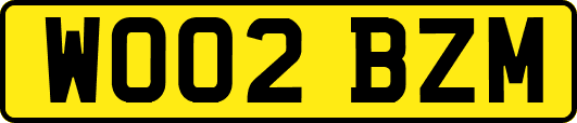 WO02BZM