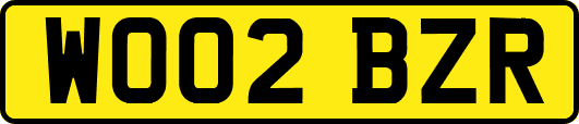 WO02BZR