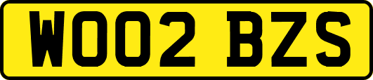 WO02BZS