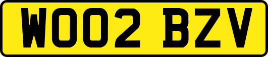 WO02BZV