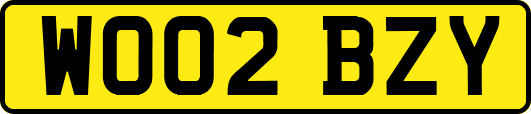 WO02BZY