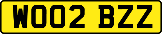 WO02BZZ