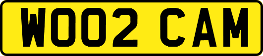 WO02CAM