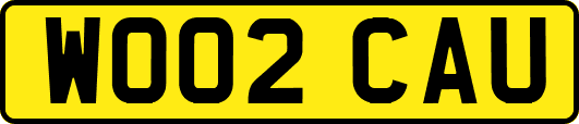 WO02CAU