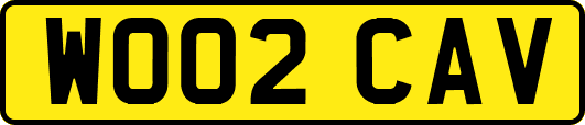 WO02CAV