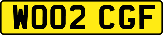 WO02CGF