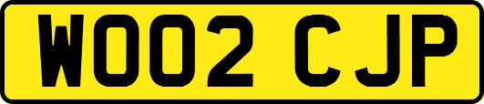 WO02CJP
