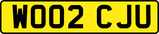 WO02CJU