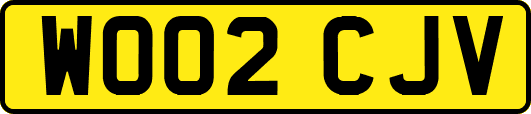 WO02CJV