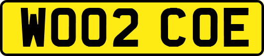 WO02COE