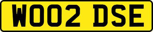 WO02DSE