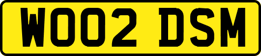 WO02DSM