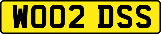 WO02DSS