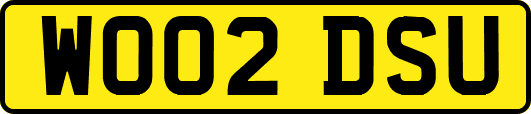 WO02DSU