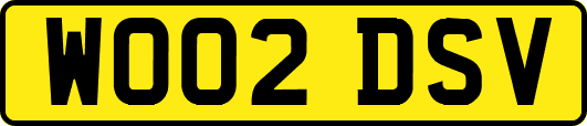 WO02DSV