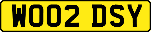 WO02DSY