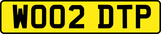 WO02DTP