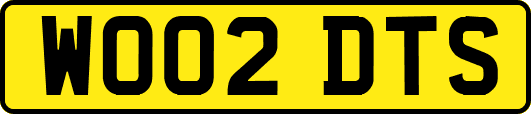 WO02DTS