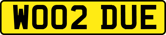 WO02DUE