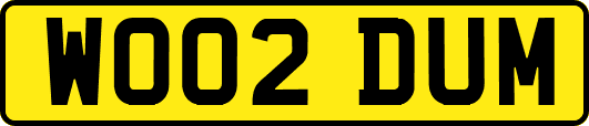 WO02DUM