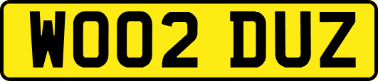 WO02DUZ