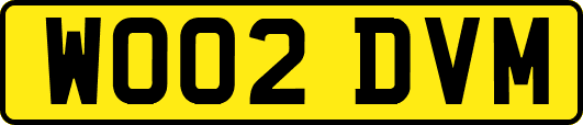 WO02DVM