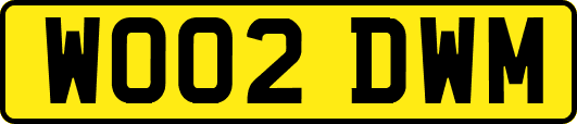 WO02DWM
