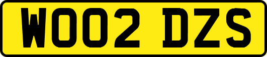 WO02DZS