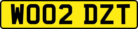 WO02DZT