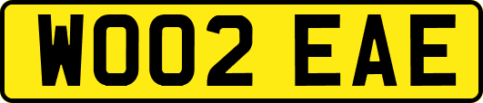 WO02EAE