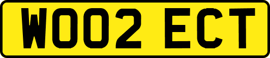 WO02ECT