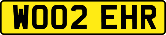 WO02EHR